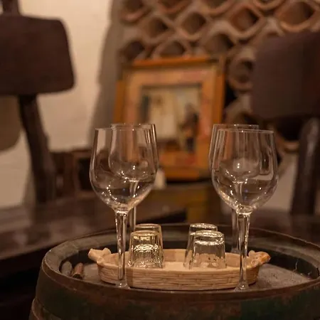 Divino By Istrialux Bicici