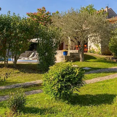 Divino By Istrialux Bicici