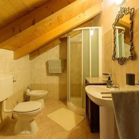 Divino By Istrialux * Bicici