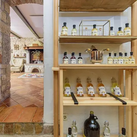 Divino By Istrialux Bicici