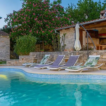 Divino By Istrialux Bicici