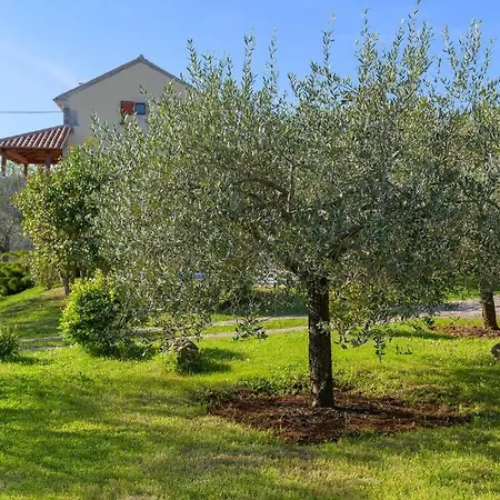Divino By Istrialux Bičići